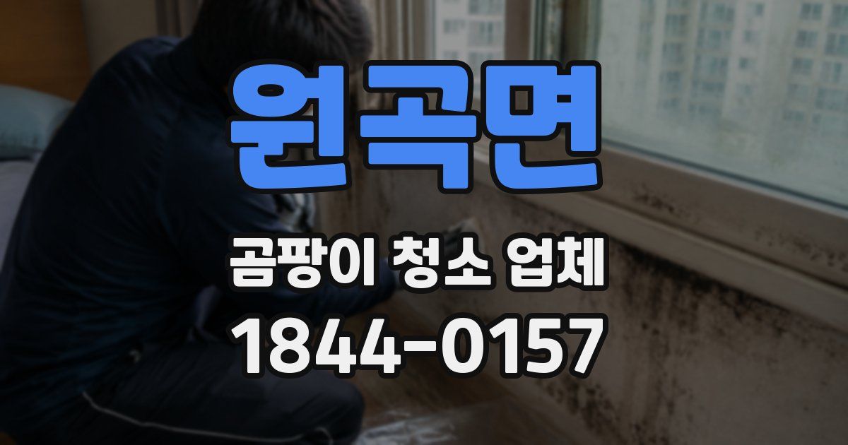 원곡면 곰팡이 청소 업체