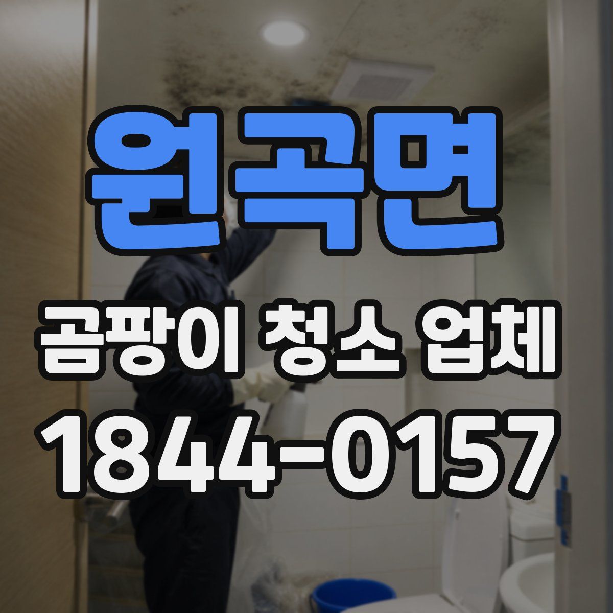 원곡면 곰팡이 청소 업체