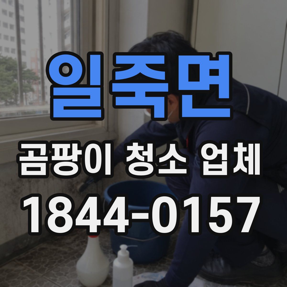 일죽면 곰팡이 청소 업체