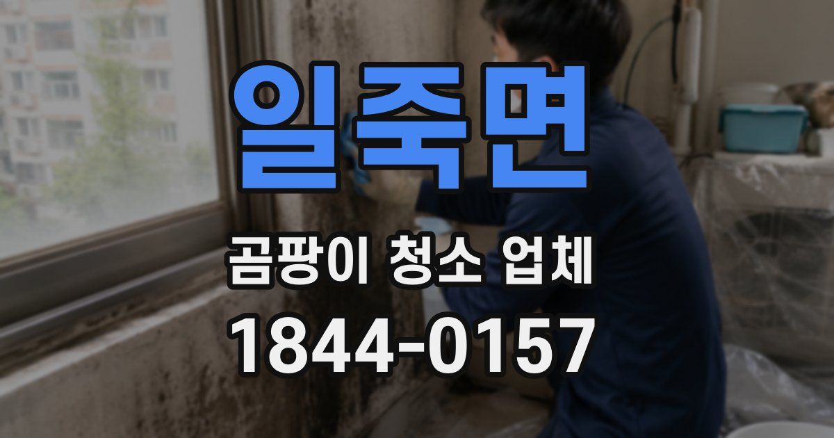 일죽면 곰팡이 청소 업체