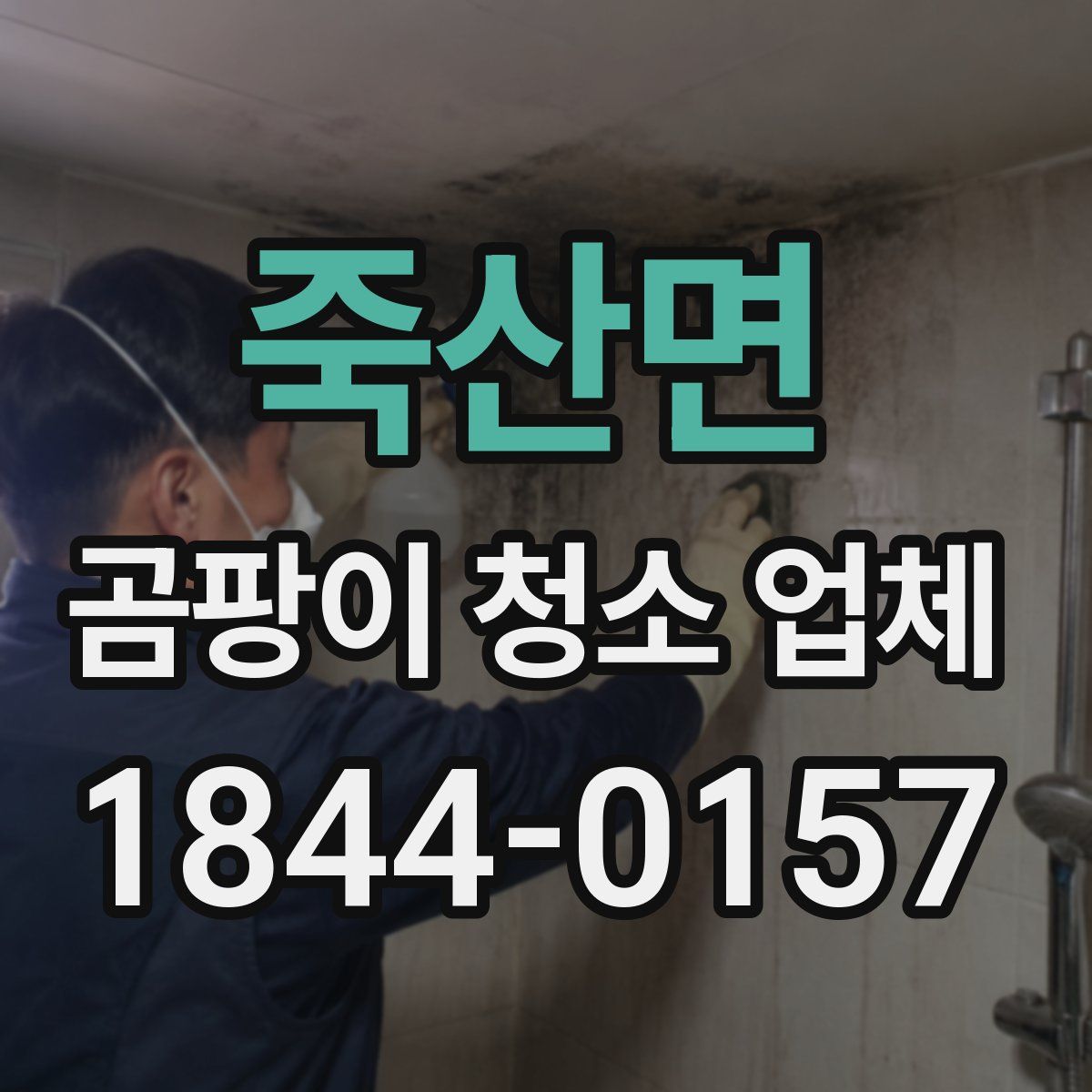 죽산면 곰팡이 청소 업체