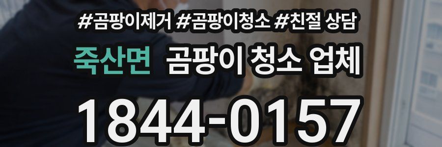 죽산면 곰팡이 청소 업체