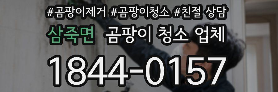 삼죽면 곰팡이 청소 업체