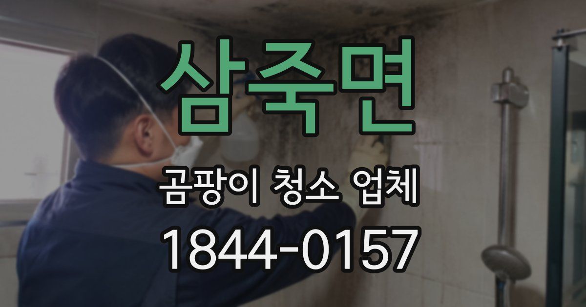 삼죽면 곰팡이 청소 업체