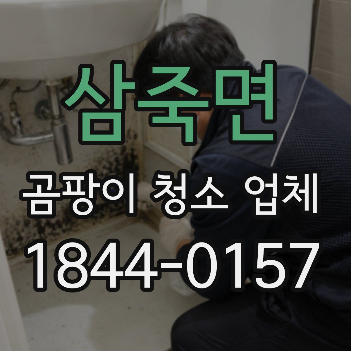 삼죽면 곰팡이 청소 업체