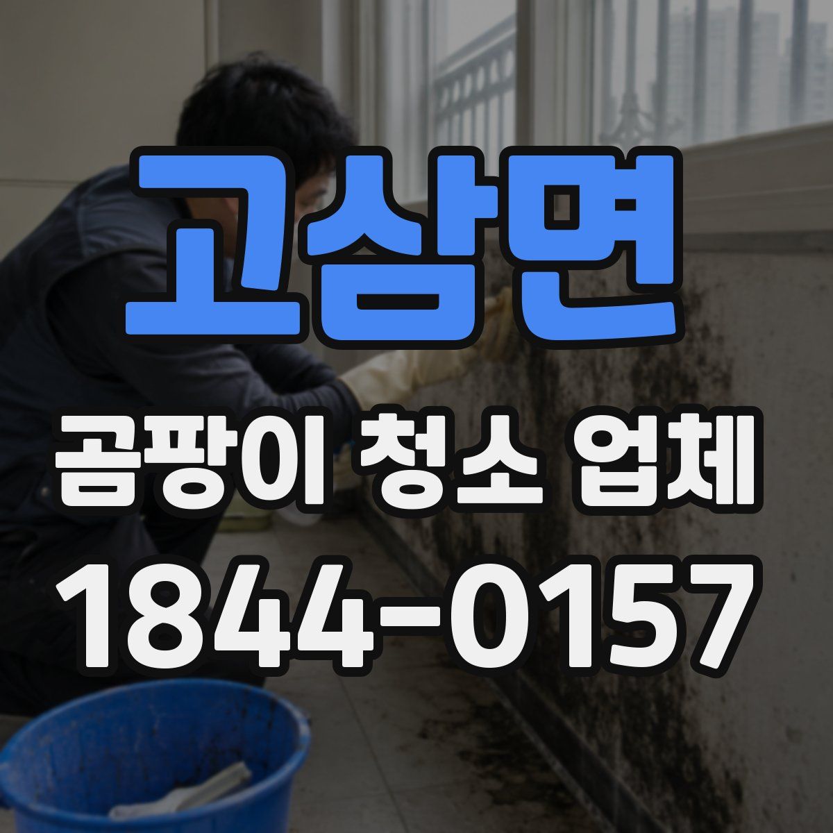 고삼면 곰팡이 청소 업체
