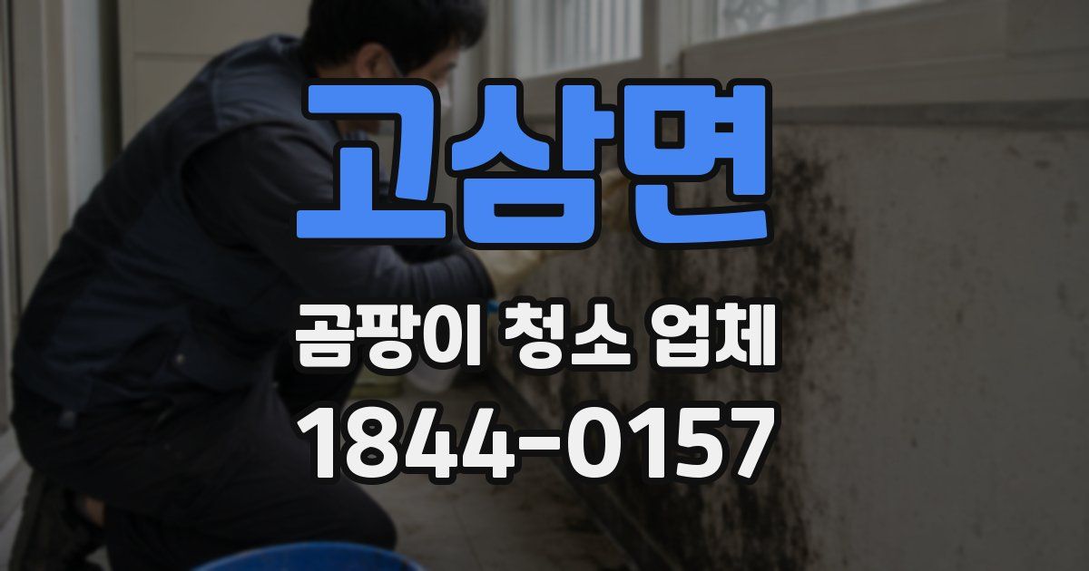 고삼면 곰팡이 청소 업체