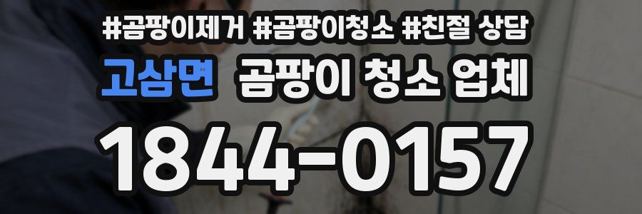 고삼면 곰팡이 청소 업체