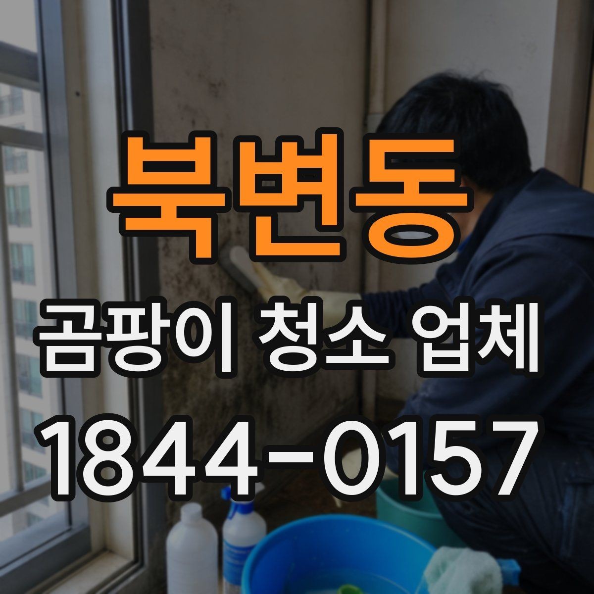 북변동 곰팡이 청소 업체 후기에서 많이 보이는 항목