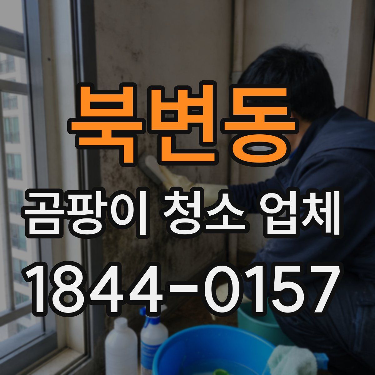 북변동 곰팡이 청소 업체