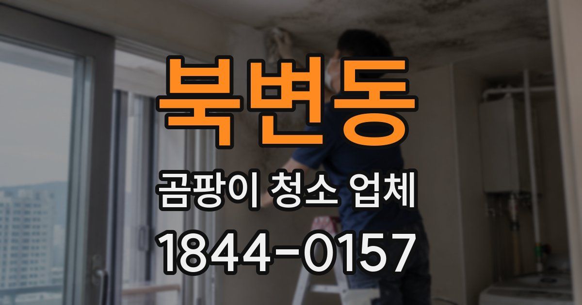 북변동 곰팡이 청소 업체