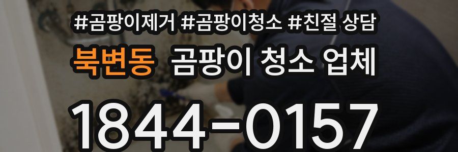 북변동 곰팡이 청소 업체