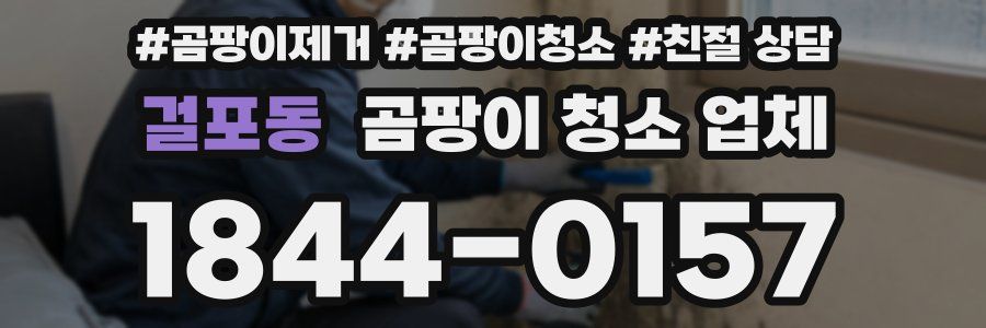 걸포동 곰팡이 청소 업체
