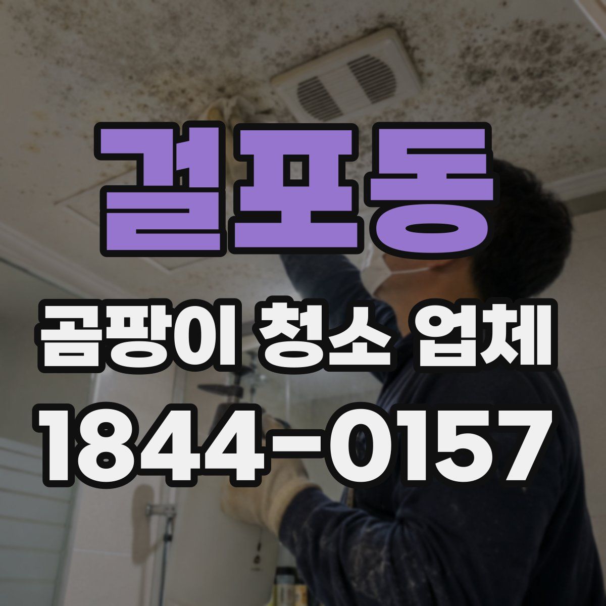 걸포동 곰팡이 청소 업체