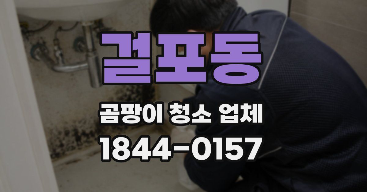 걸포동 곰팡이 청소 업체