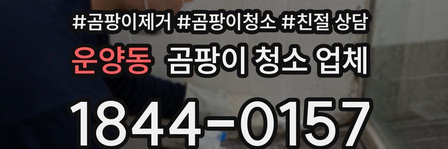 운양동 곰팡이 청소 업체
