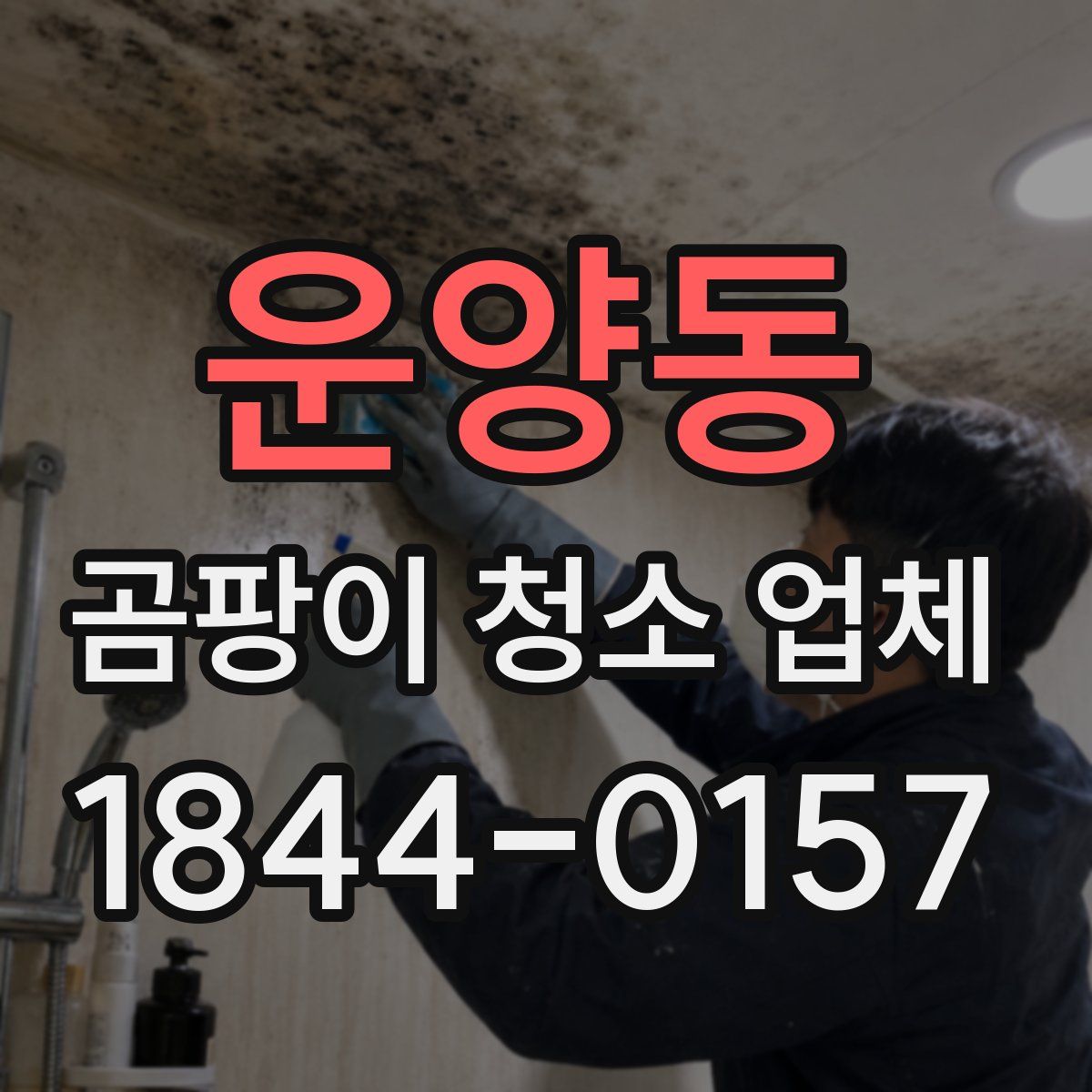 운양동 곰팡이 청소 업체