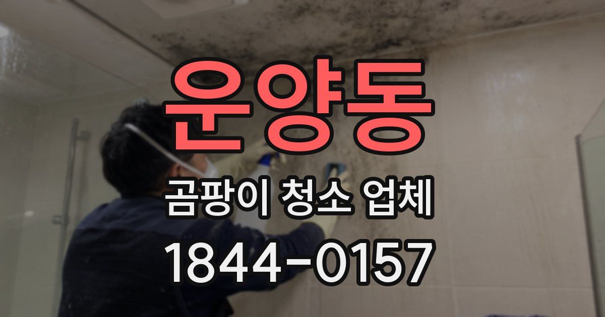 운양동 곰팡이 청소 업체