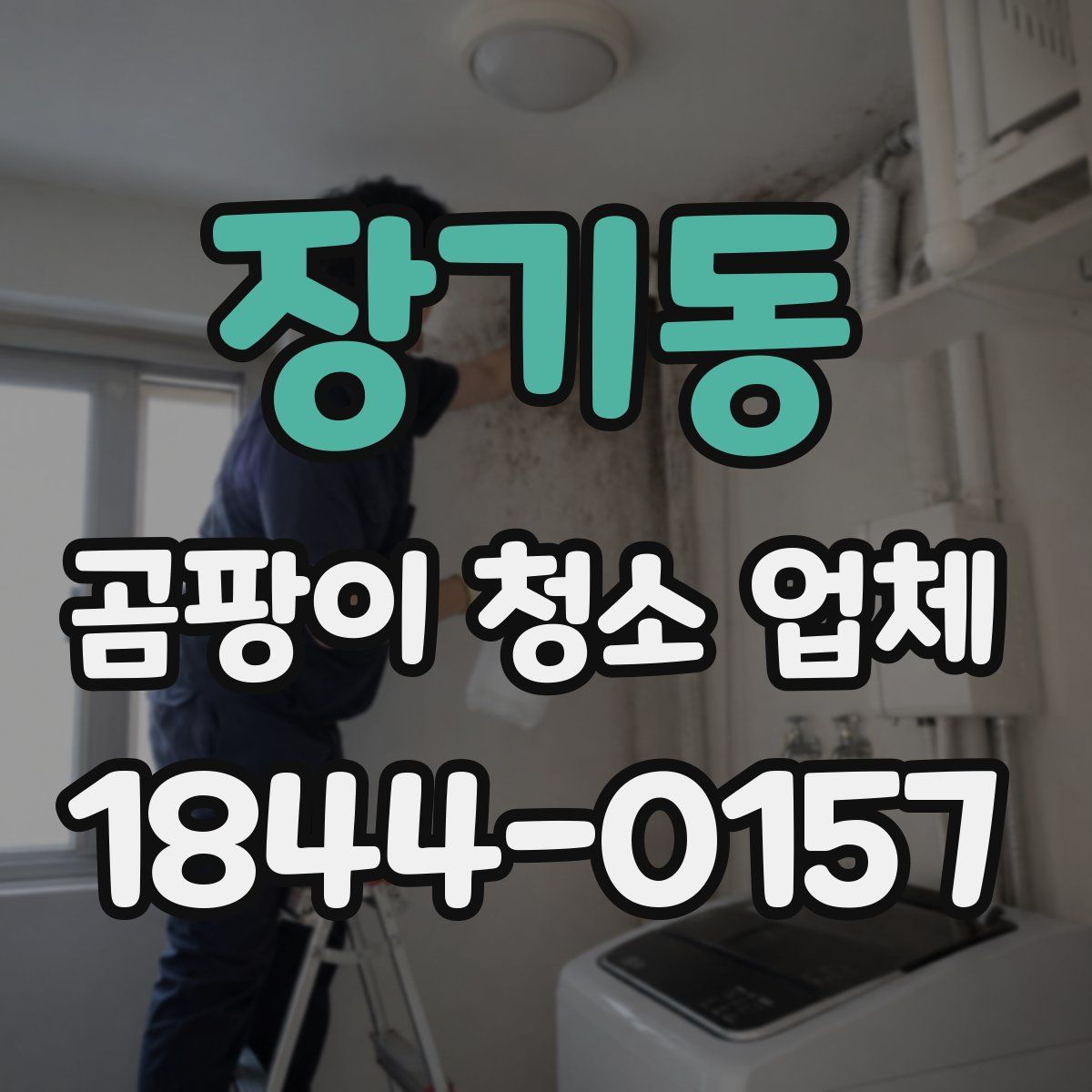 장기동 곰팡이 청소 업체