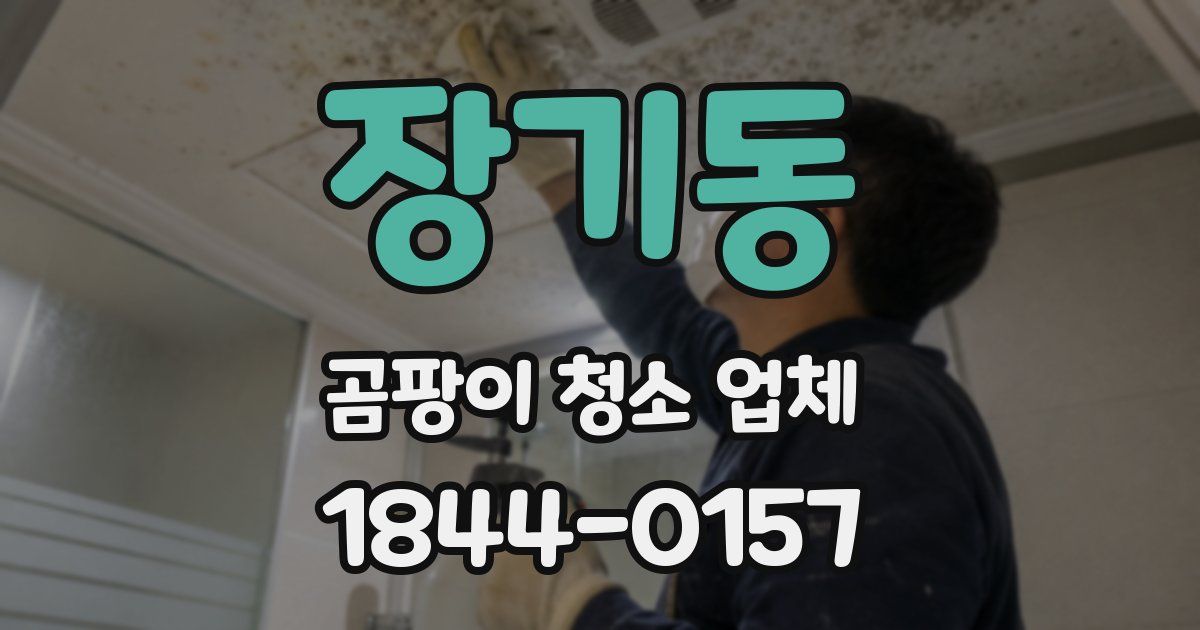 장기동 곰팡이 청소 업체
