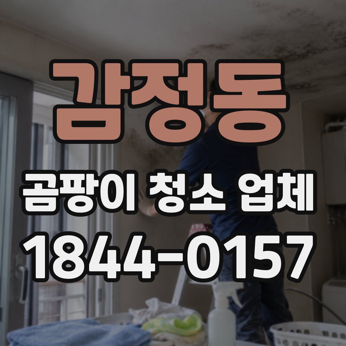 감정동 곰팡이 청소 업체