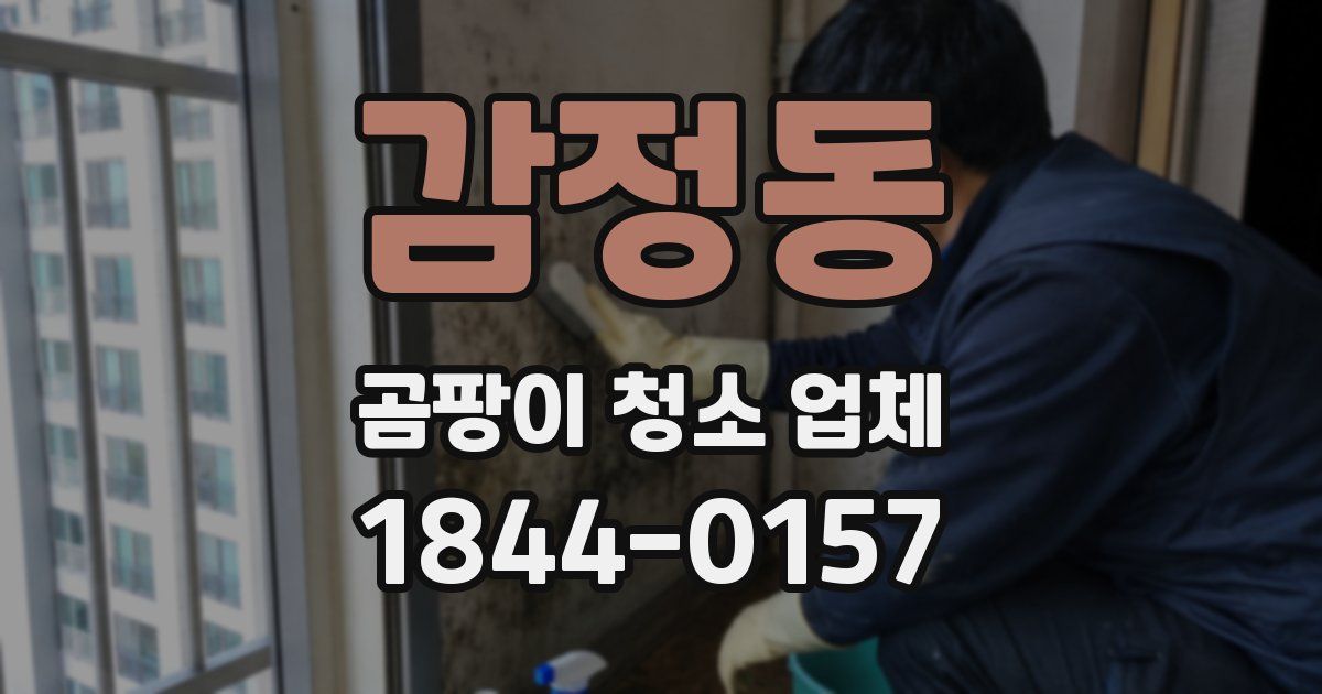 감정동 곰팡이 청소 업체