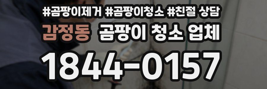 감정동 곰팡이 청소 업체