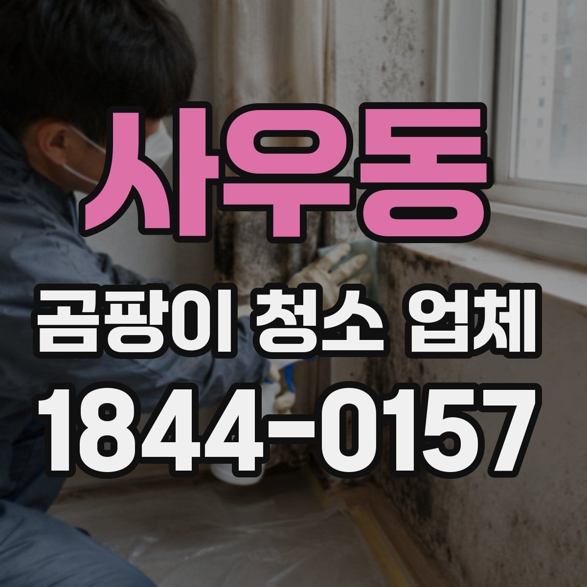사우동 곰팡이 청소 업체 문의 전 공간별 준비 체크