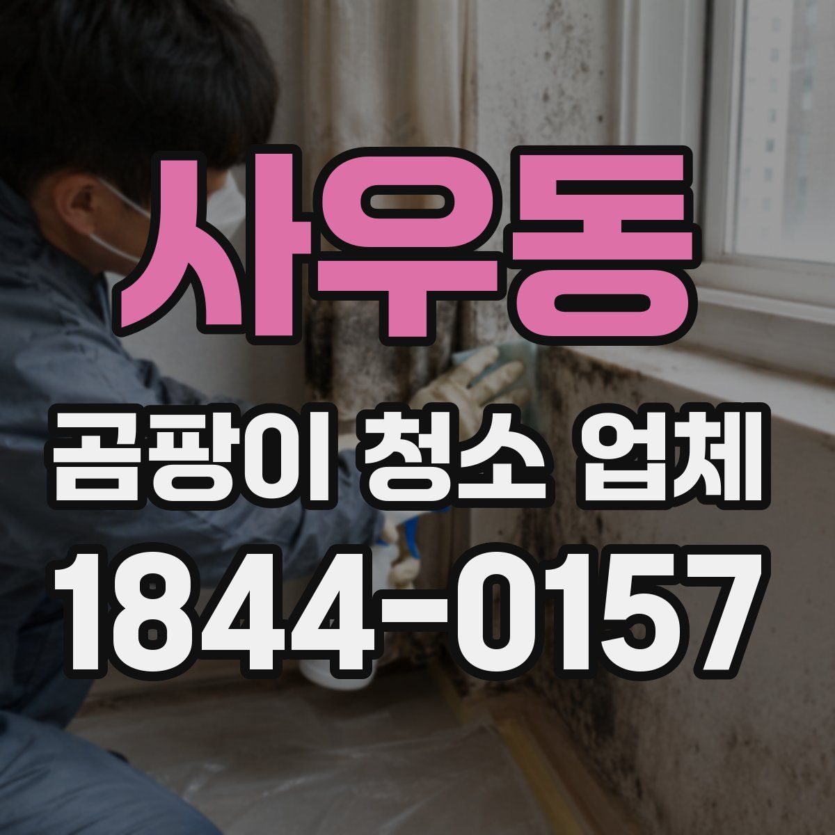 사우동 곰팡이 청소 업체