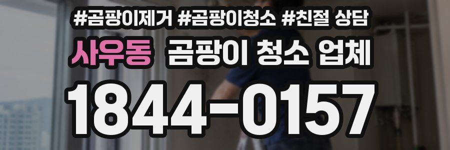 사우동 곰팡이 청소 업체