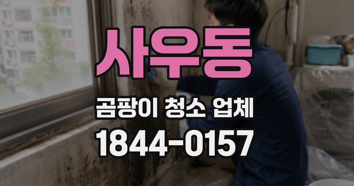 사우동 곰팡이 청소 업체
