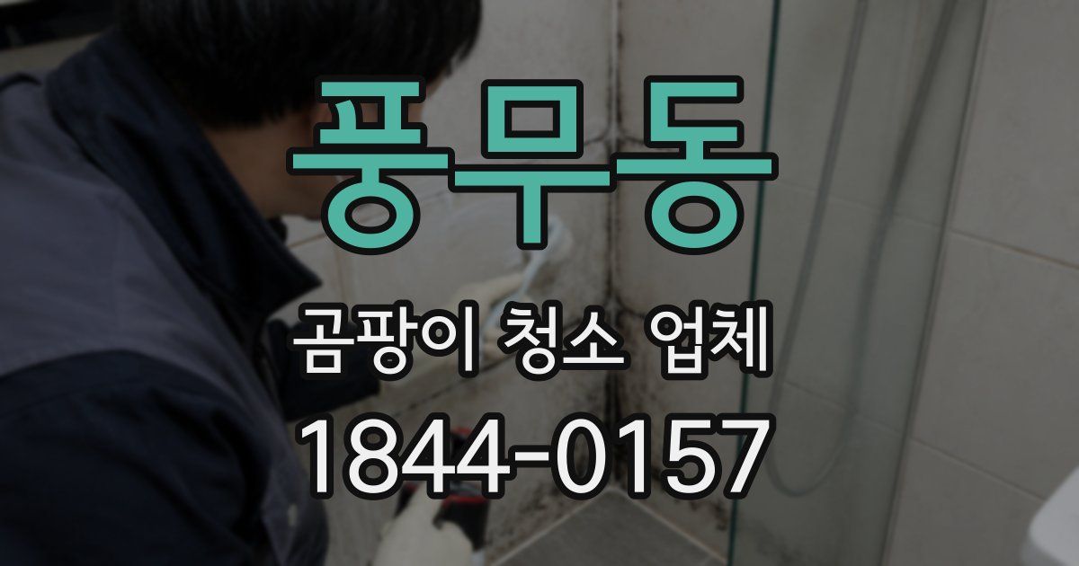 풍무동 곰팡이 청소 업체