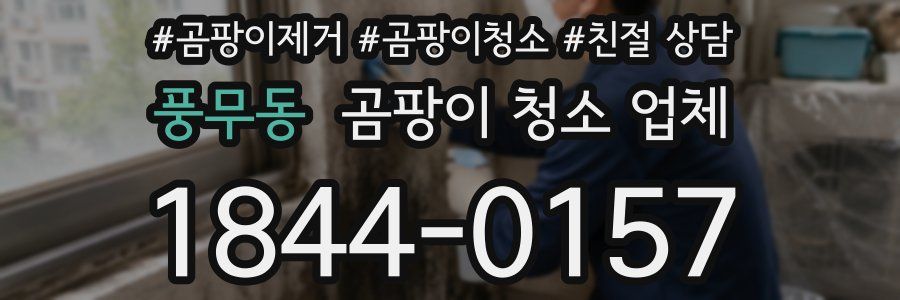 풍무동 곰팡이 청소 업체