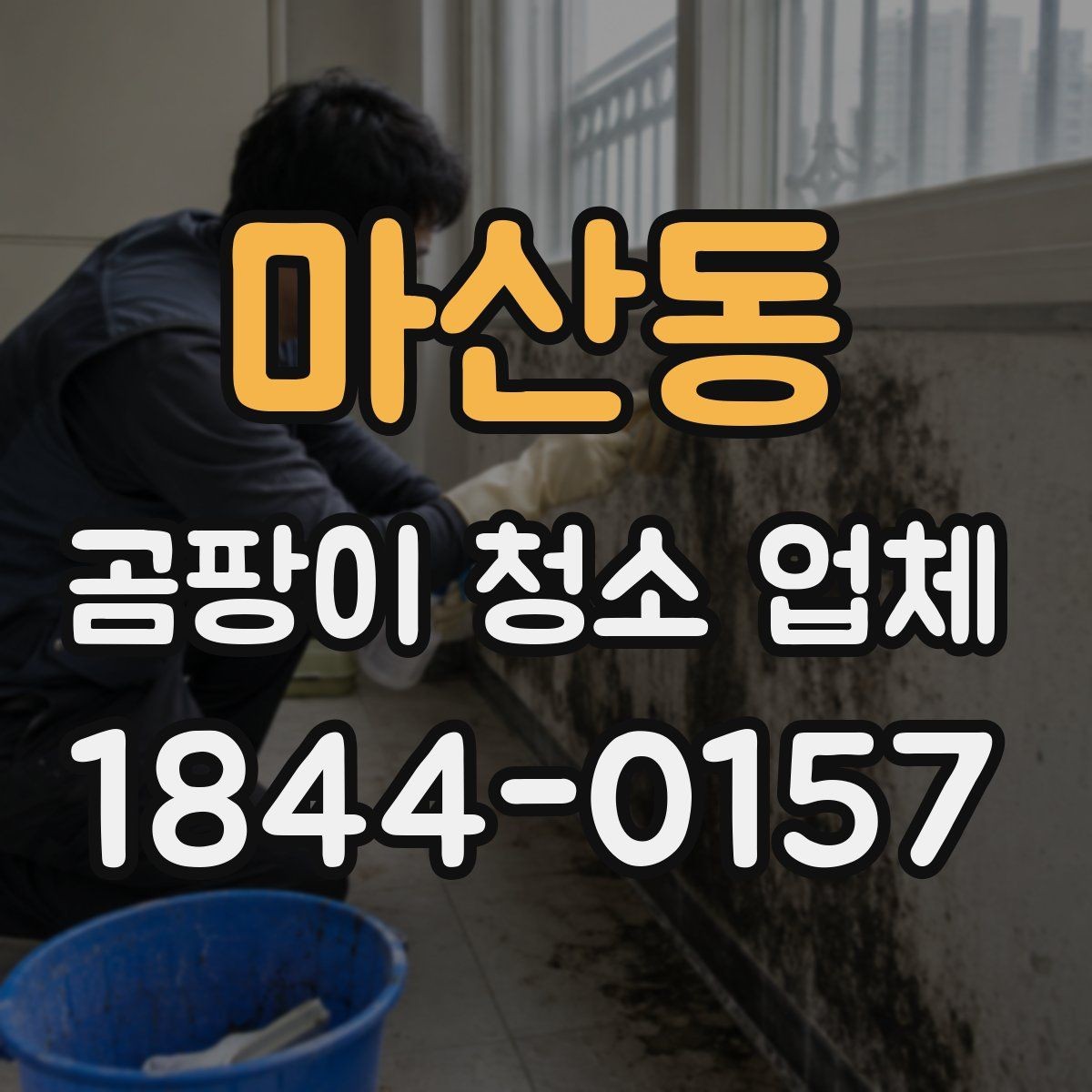 마산동 곰팡이 청소 업체 이용을 고민할 때 보는 체크포인트