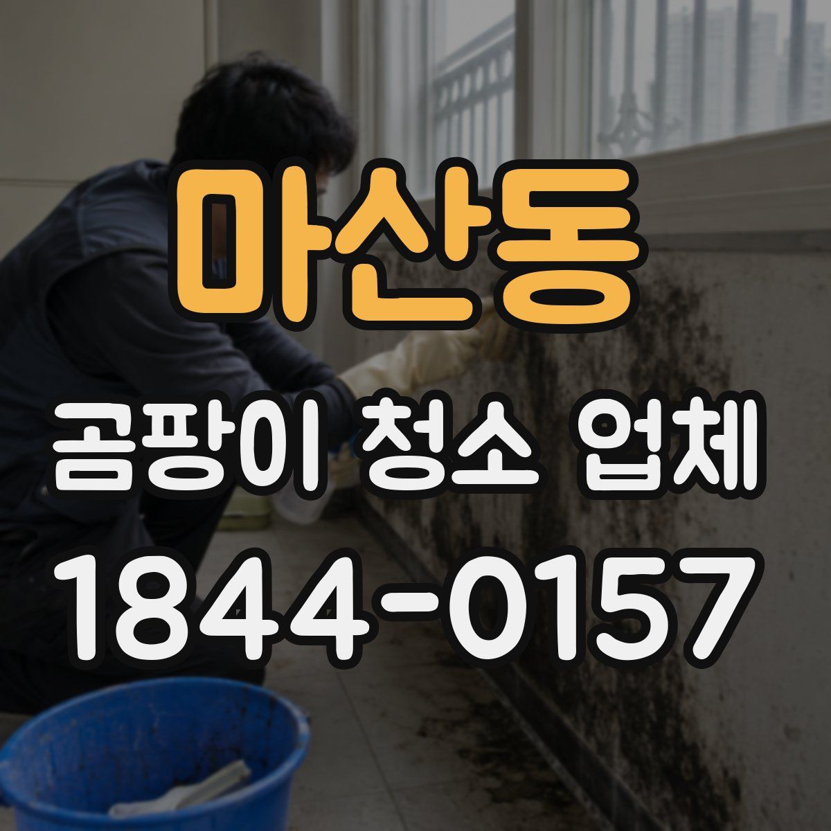 마산동 곰팡이 청소 업체