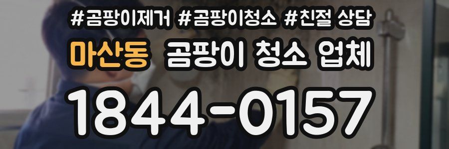 마산동 곰팡이 청소 업체