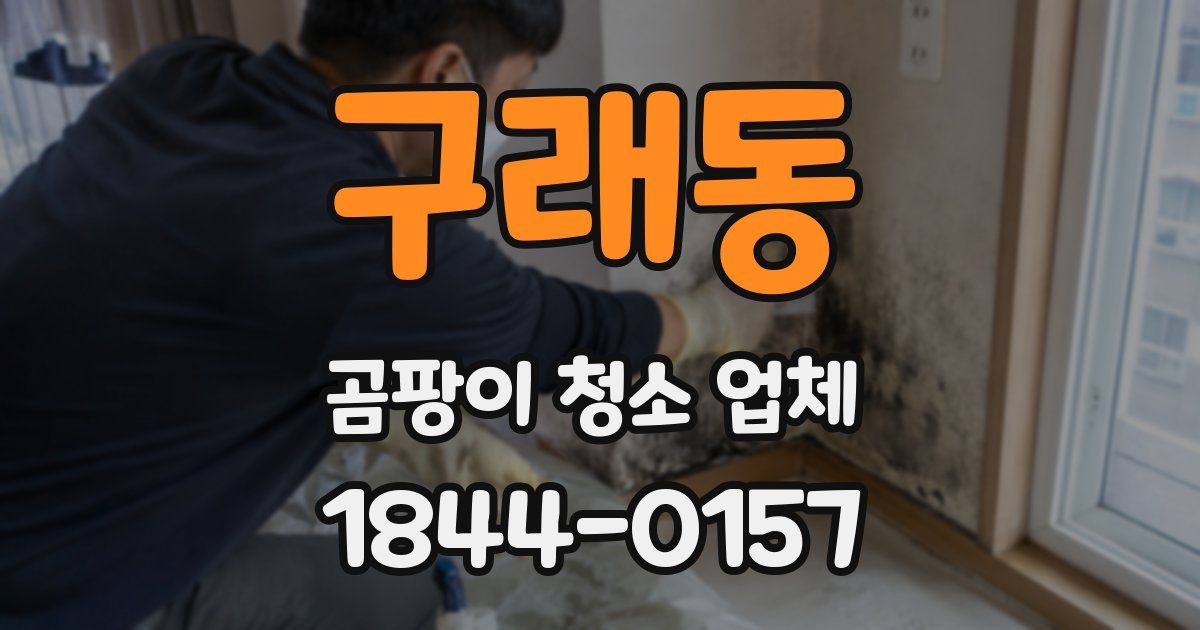 구래동 곰팡이 청소 업체