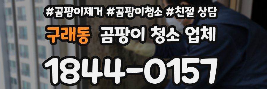 구래동 곰팡이 청소 업체