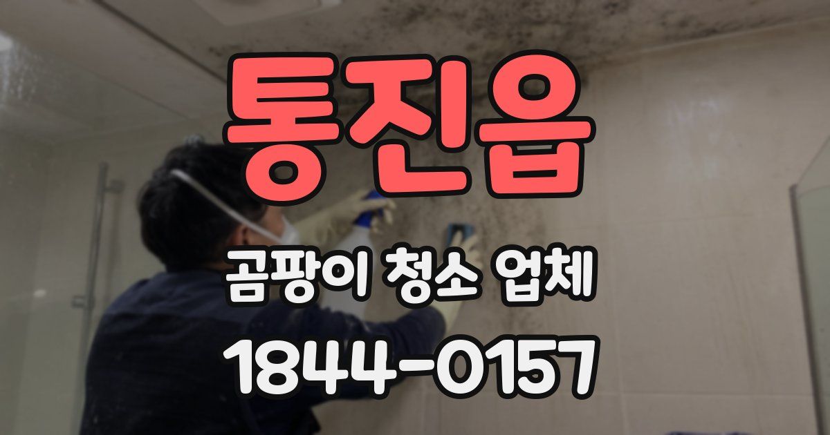 통진읍 곰팡이 청소 업체