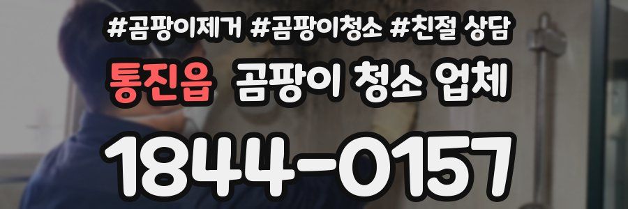 통진읍 곰팡이 청소 업체