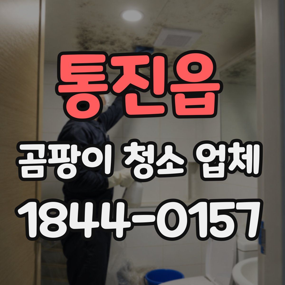 통진읍 곰팡이 청소 업체