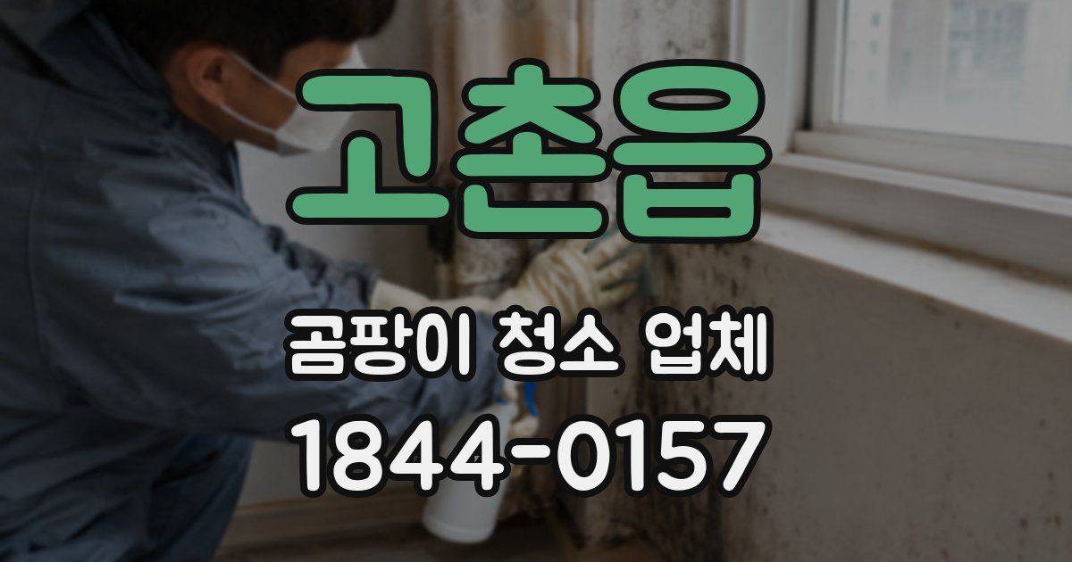 고촌읍 곰팡이 청소 업체
