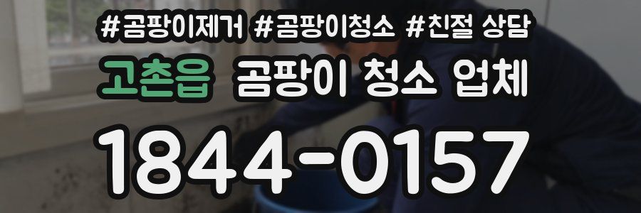 고촌읍 곰팡이 청소 업체