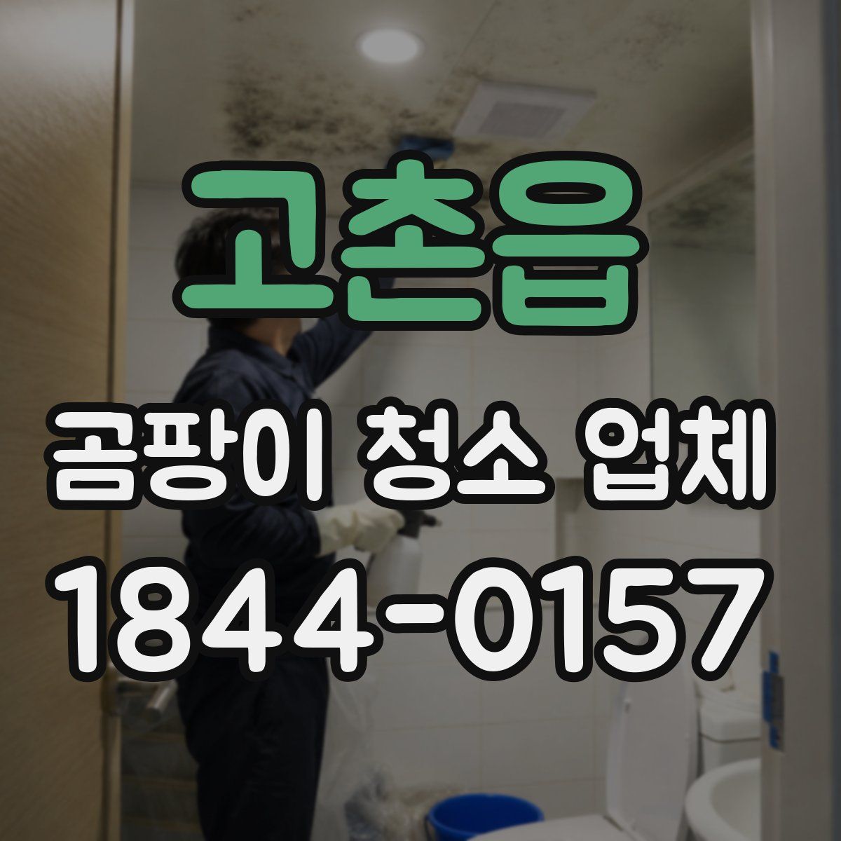 고촌읍 곰팡이 청소 업체