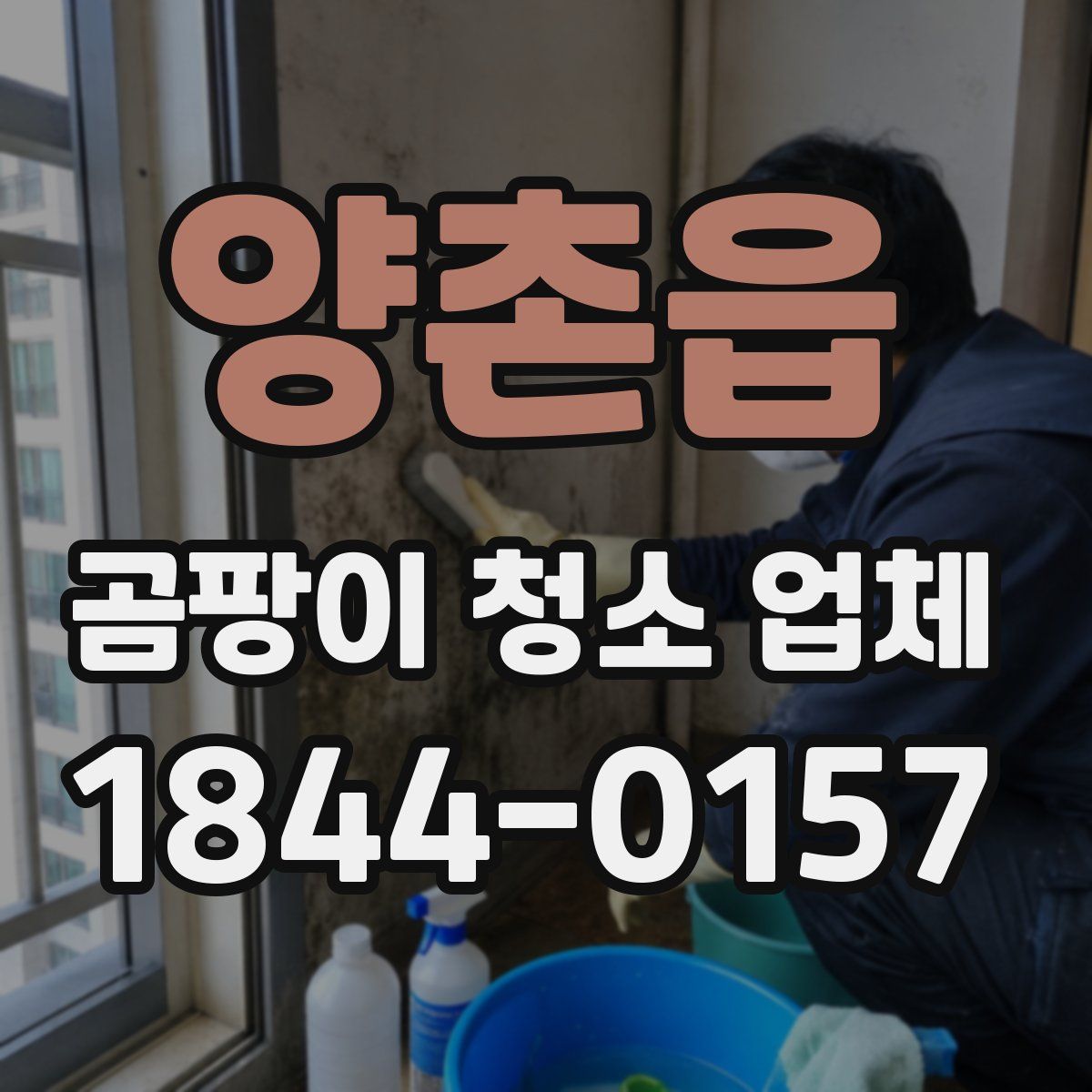 양촌읍 곰팡이 청소 업체