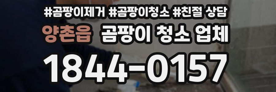양촌읍 곰팡이 청소 업체