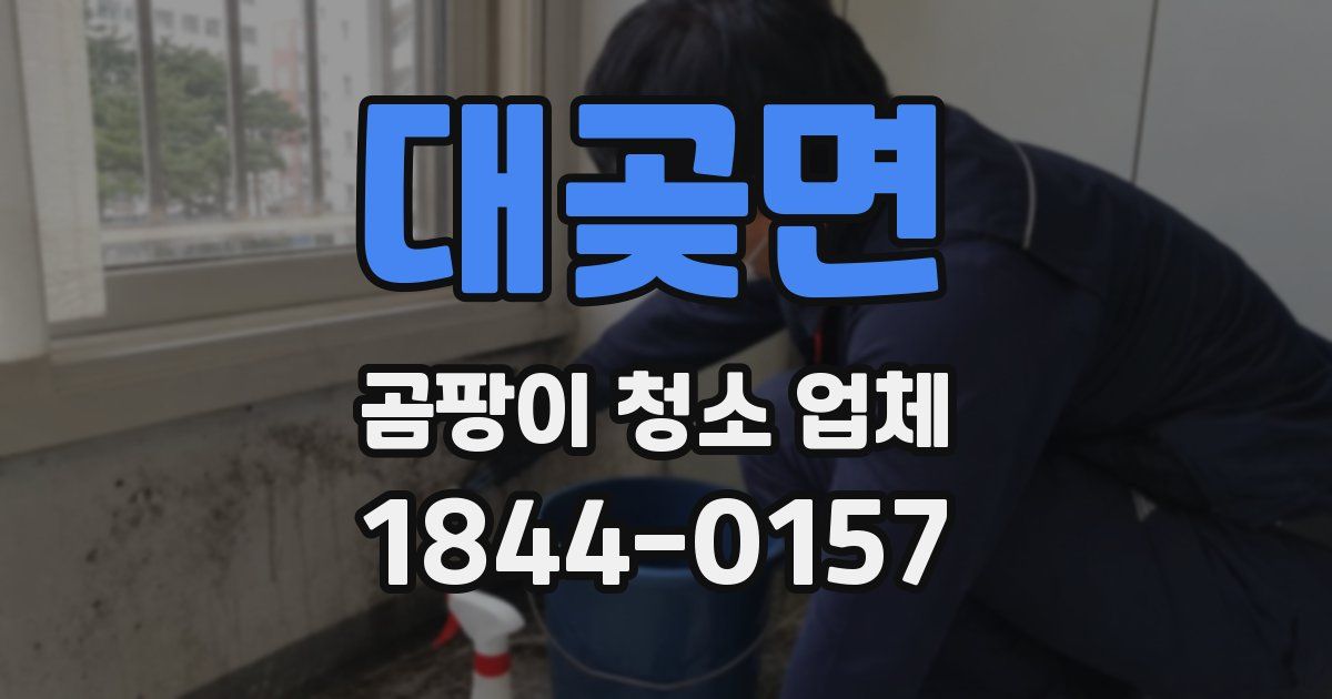 대곶면 곰팡이 청소 업체