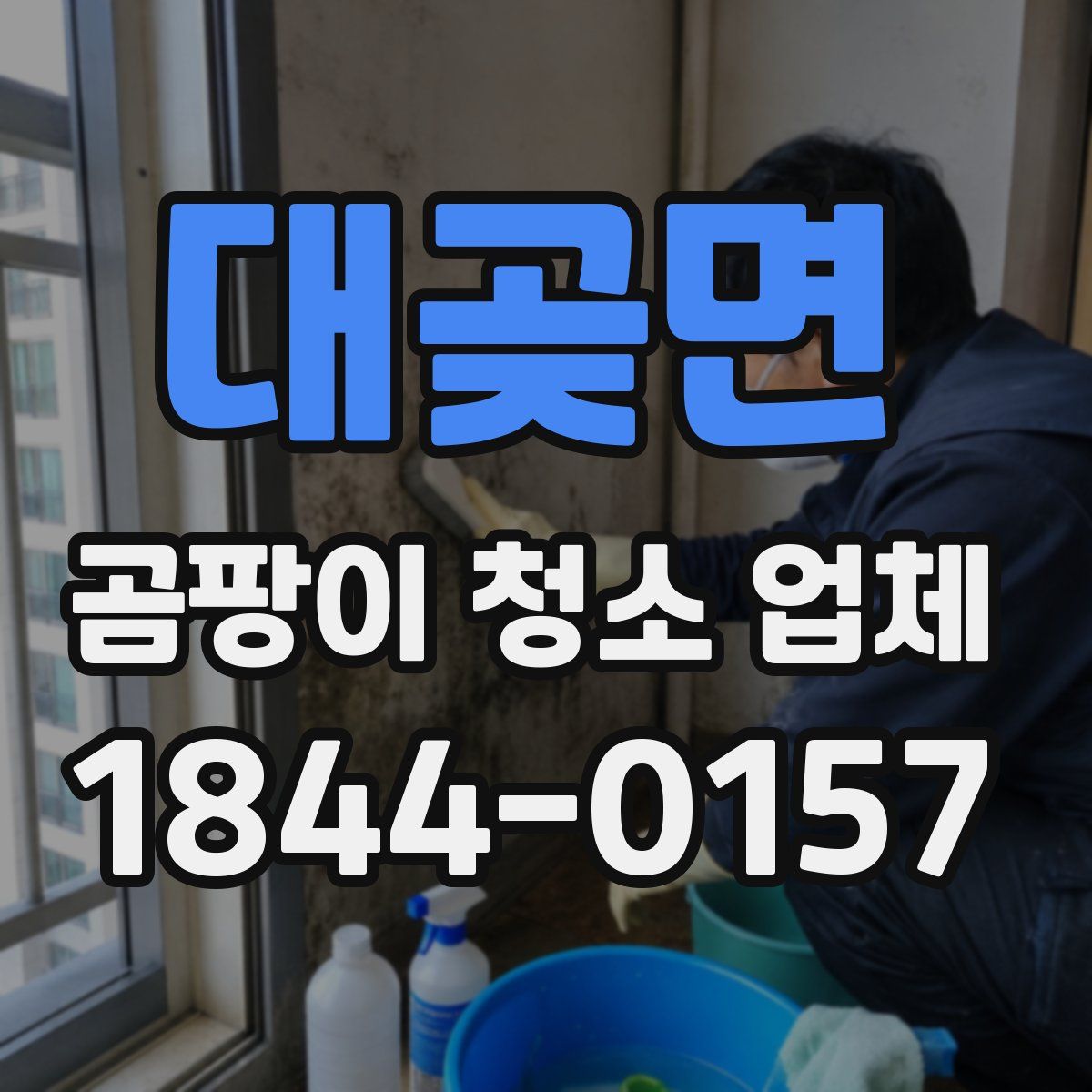 대곶면 곰팡이 청소 업체
