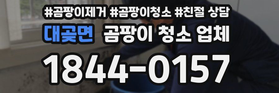 대곶면 곰팡이 청소 업체