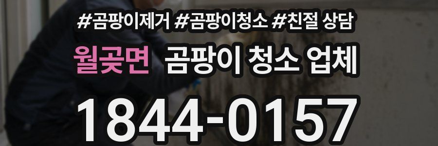 월곶면 곰팡이 청소 업체